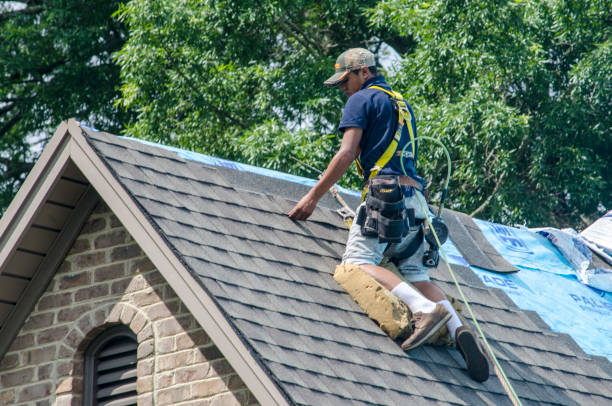 Quick and Trustworthy Emergency Roof Repair Services in Rocky Ford, CO
